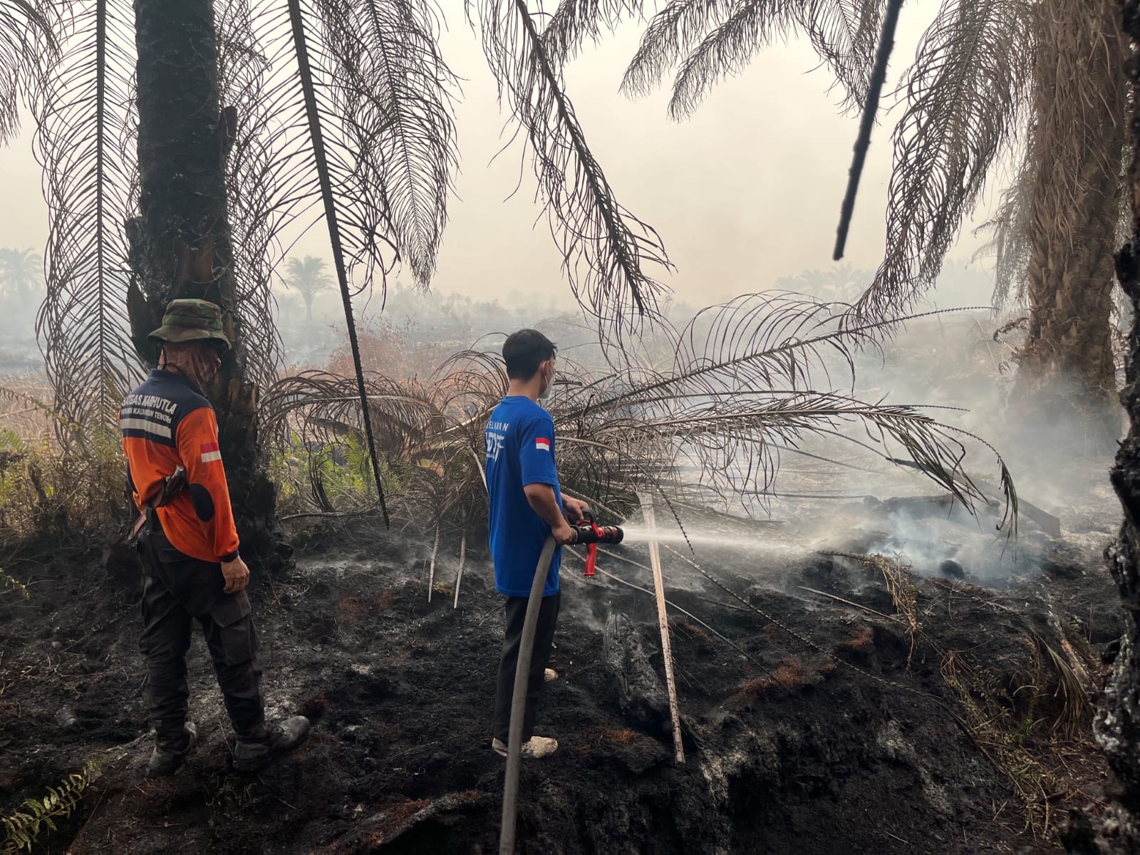 Dukung Pemadaman dan Lindungi Warga dari Asap Karhutla