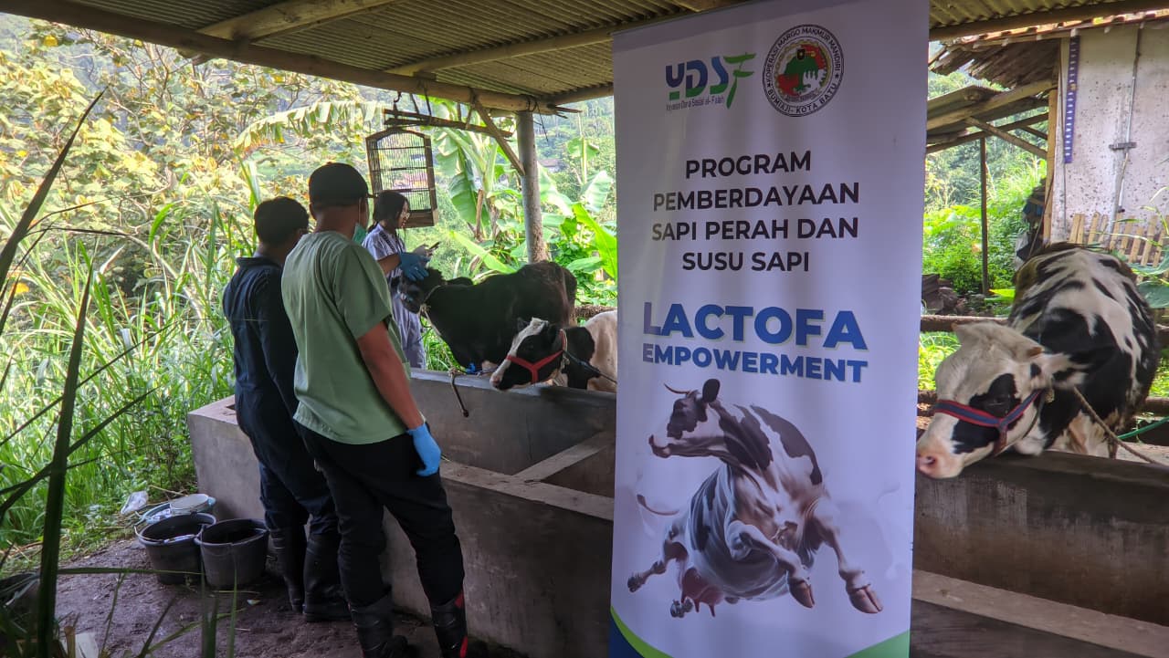 Pemeriksaan Sapi Perah Program Lactofa Empowerment untuk Antisipasi Wabah LSD