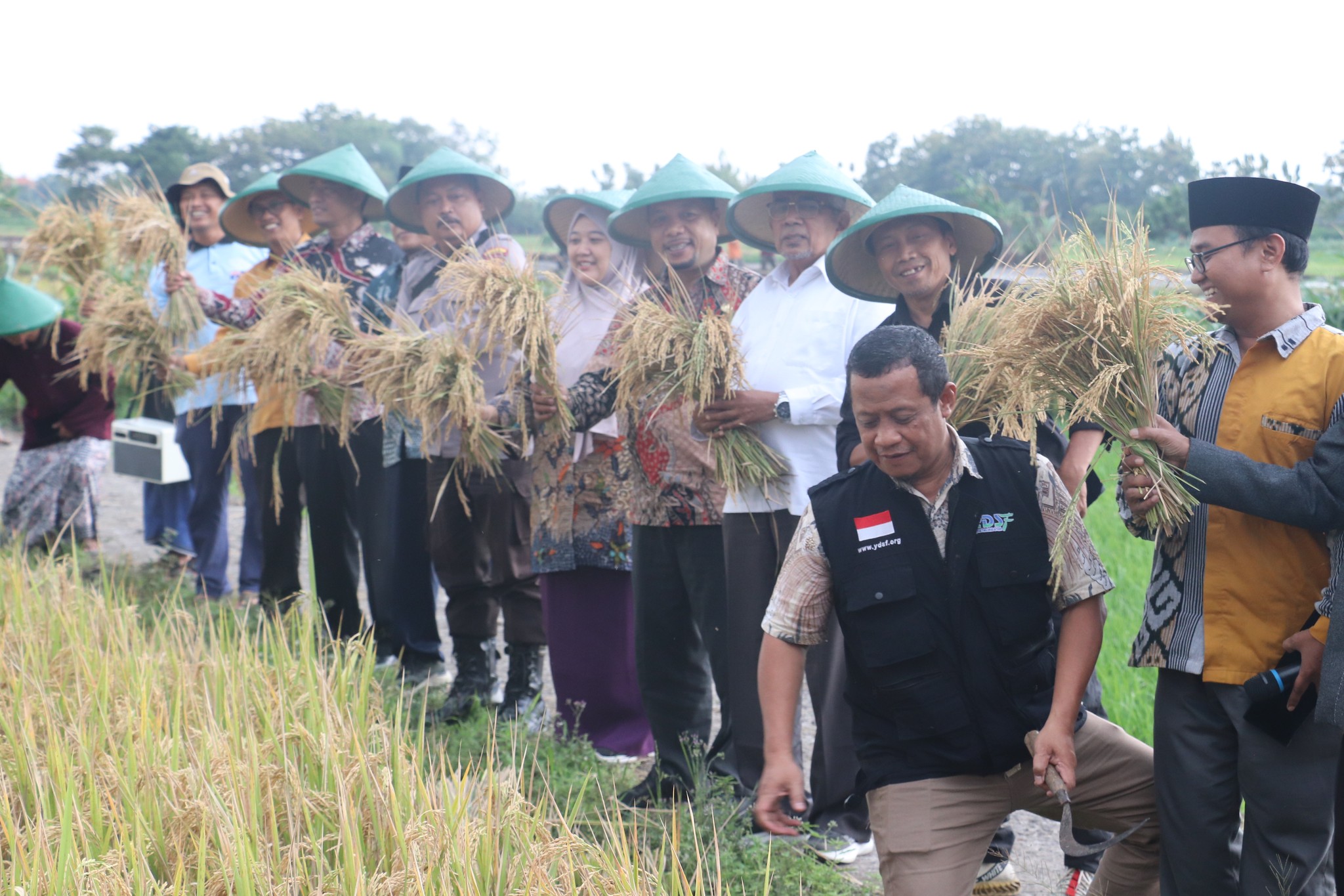 Sukses Gelar Panen Raya Beras Sehat Bebas Pestisida di Gresik