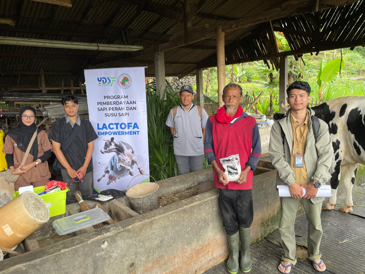 Pemeriksaan dan Distribusi Anakan Sapi Perah Perkuat Keberlanjutan Program Lactofa Empowerment YDSF