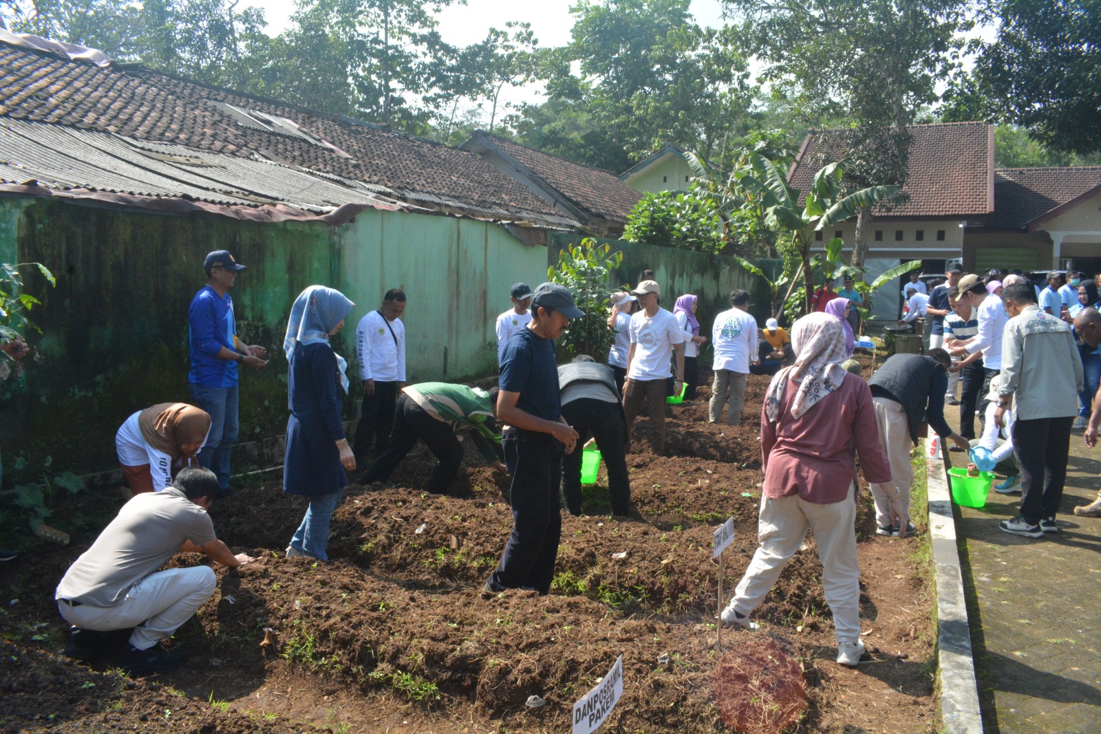 Sinergi Pemkab Bondowoso dan YDSF Gaungkan Gerakan Tanam Pekarangan